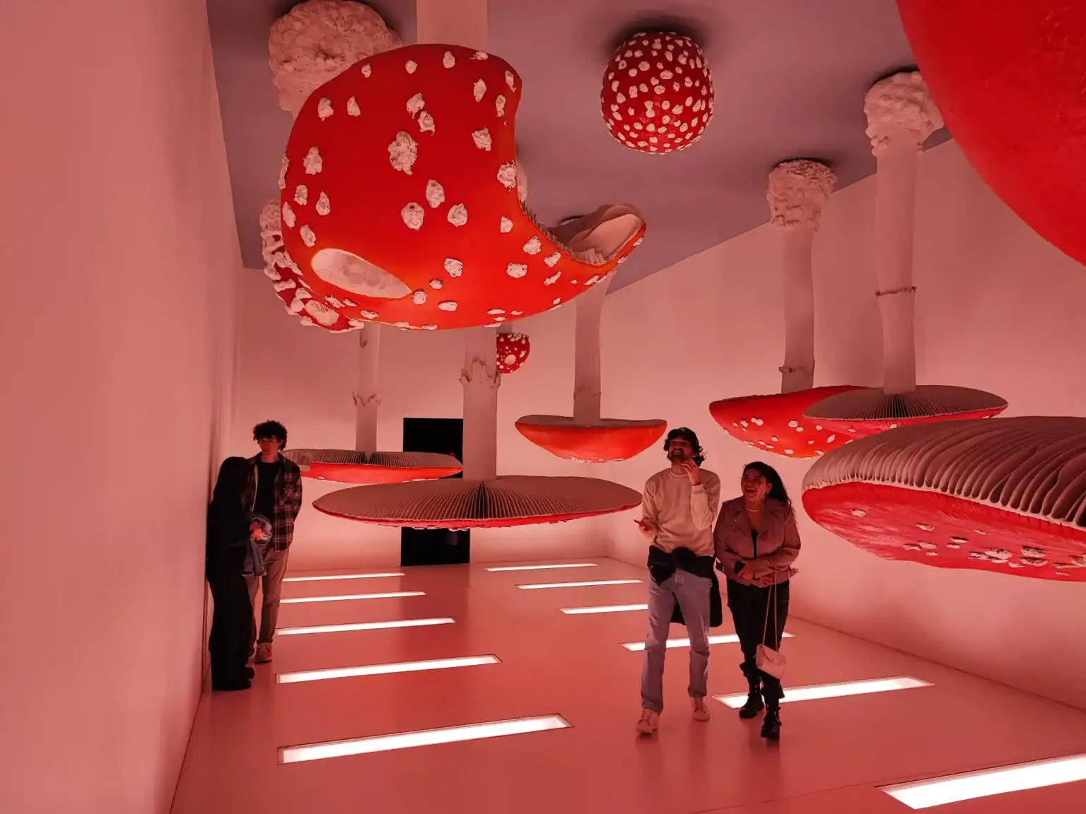 WCGallery Scuola Leonardo Da Vinci Milan Overview 2 1536x1152