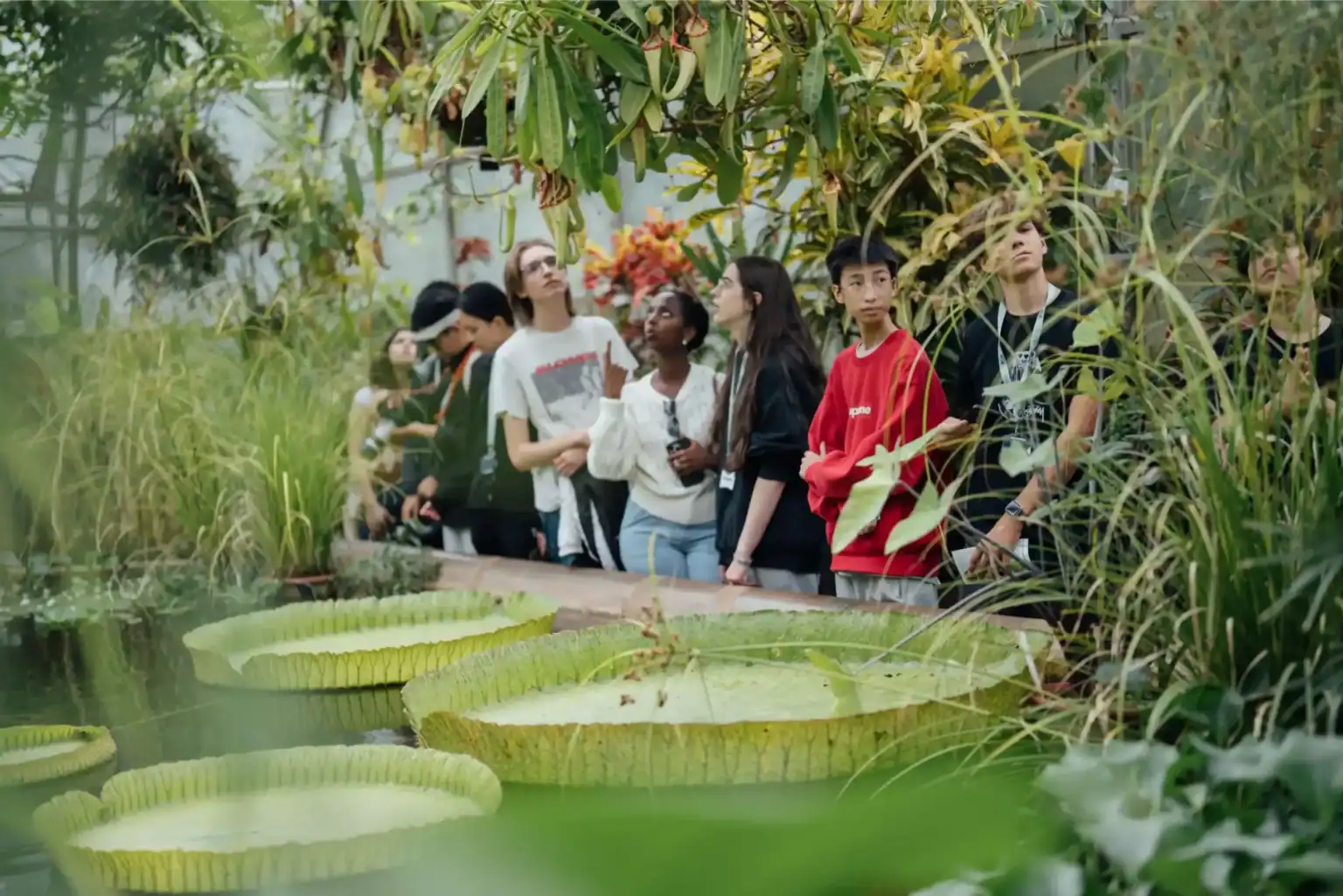 WCGallery Oxbridge Summer Scholar Activities 3 1536x1025