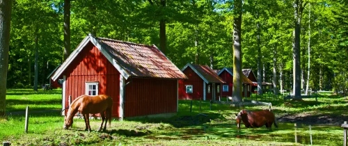 Sommercamps in Schweden