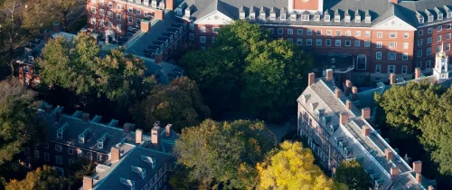 World Best Language Camps Rg363b7wuenenh46jv5ncdyoy7bzhjbhzio131154k