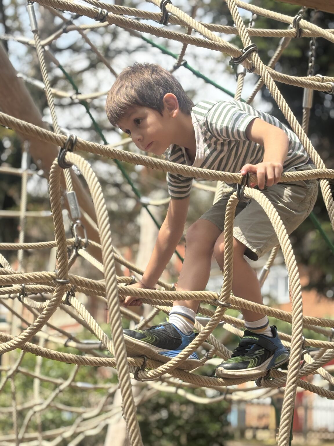 IMG 2934 1 1152x1536