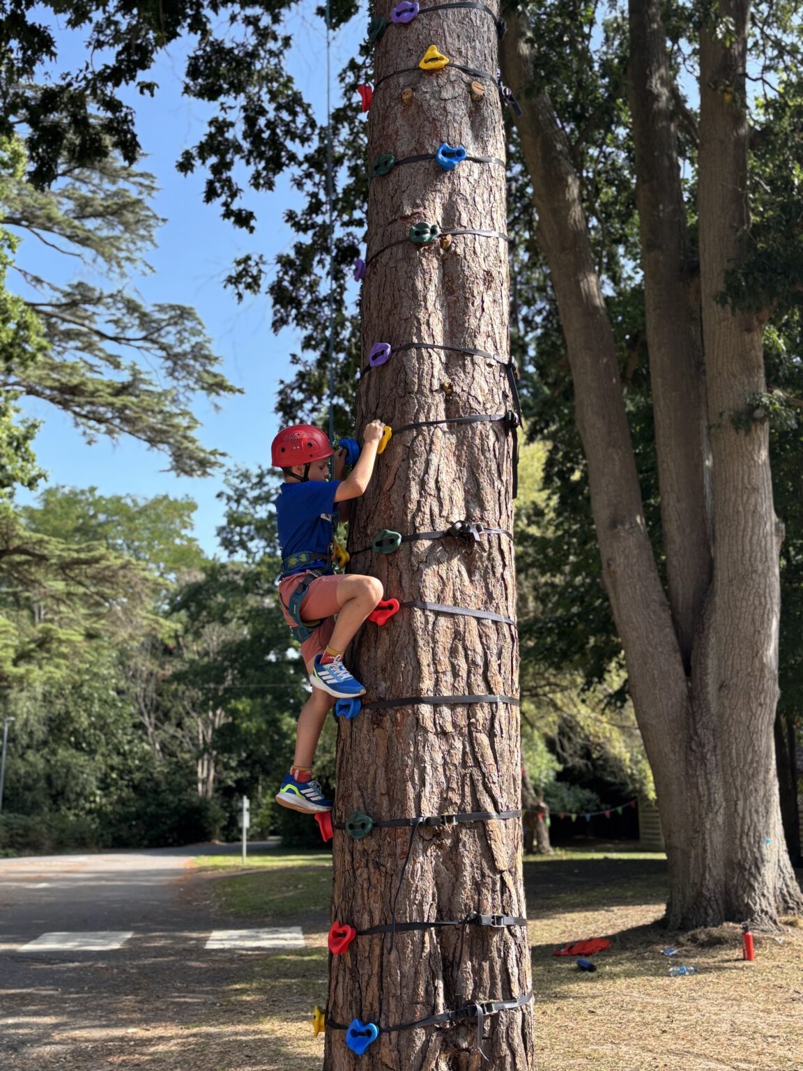 IMG 5951 1 1152x1536