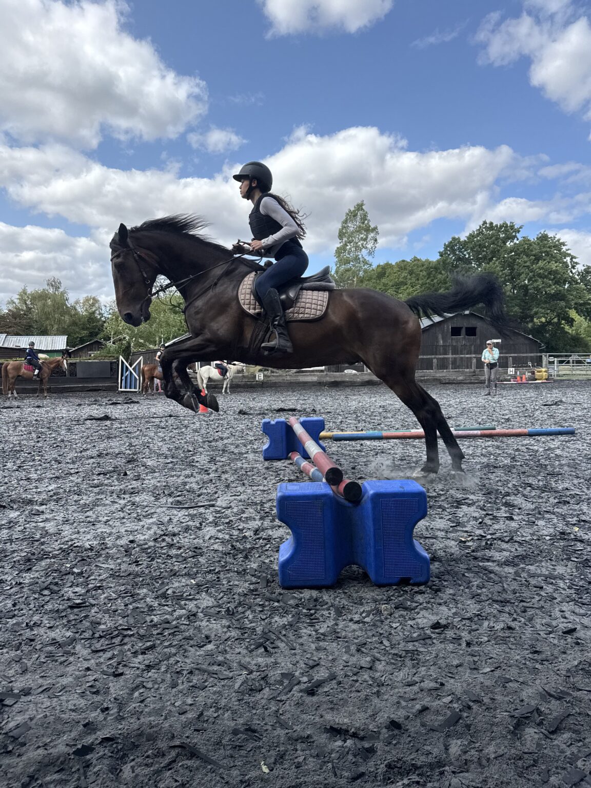 IMG 8558 1 1152x1536