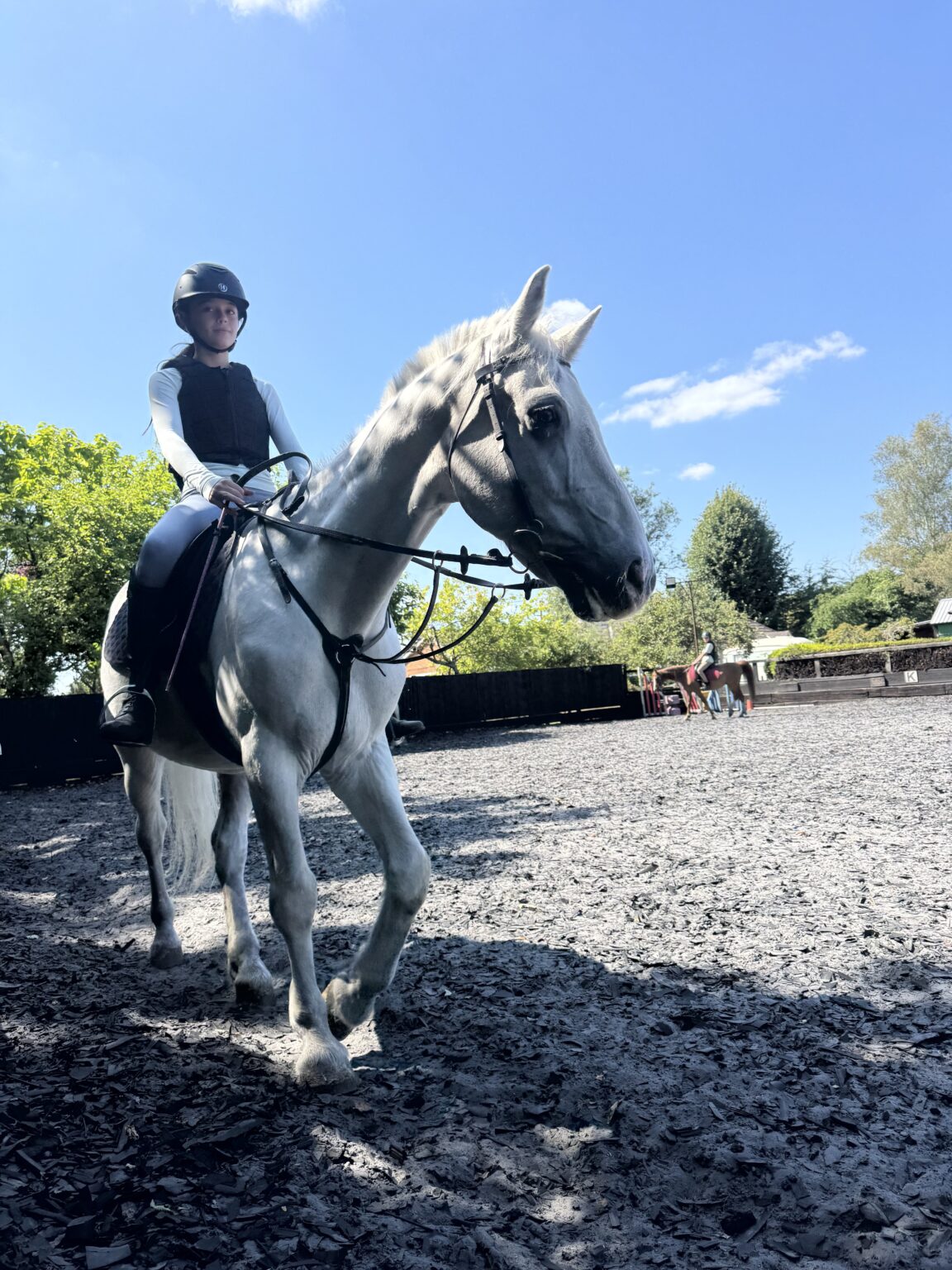 IMG 8786 1 1152x1536