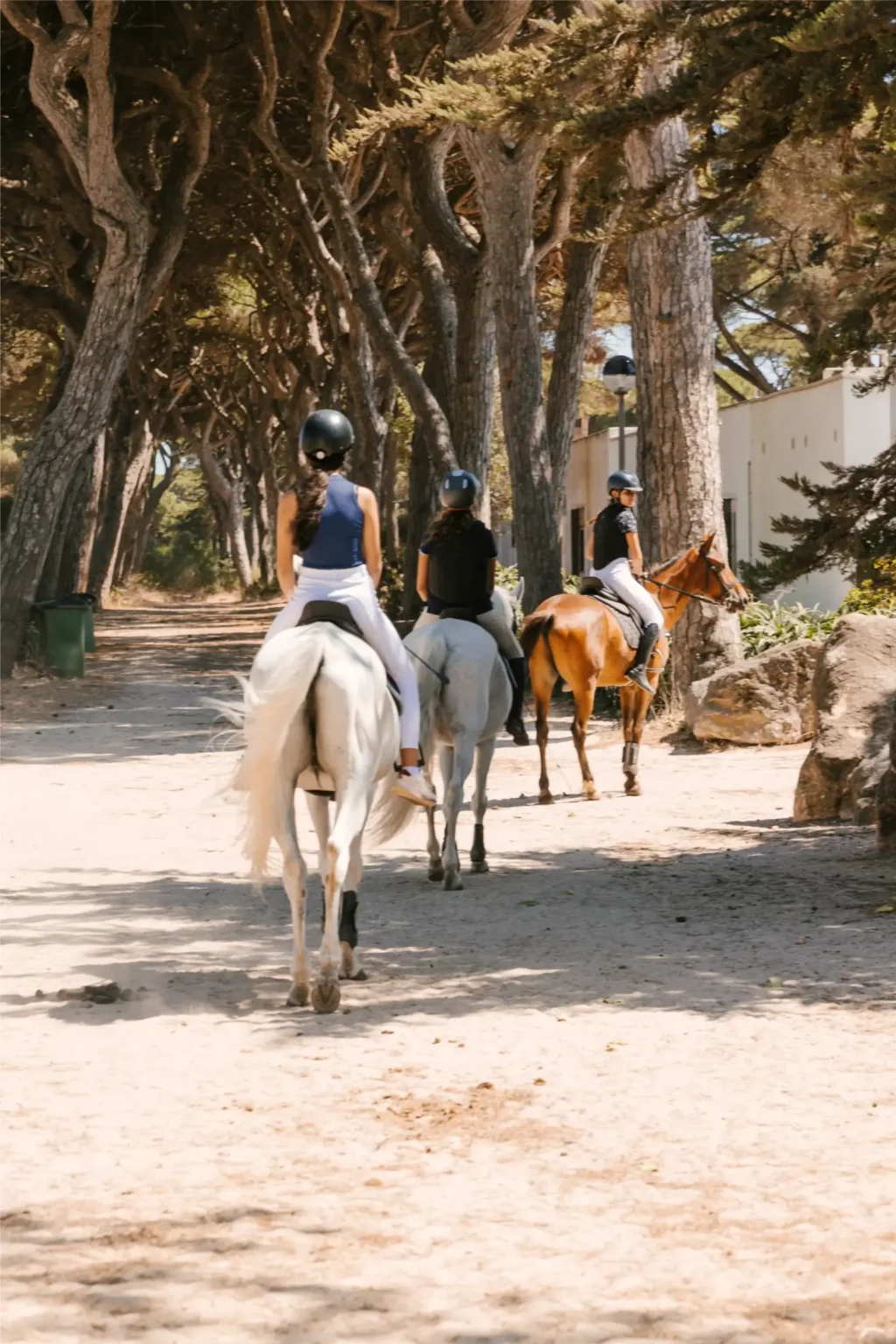 WCGallery Kings College Cascais Activities 1 1024x1536