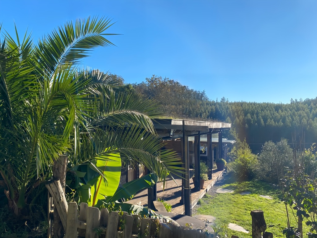 Inicio A Magical Place Option 1 40DAE8431B8C 1 105 C