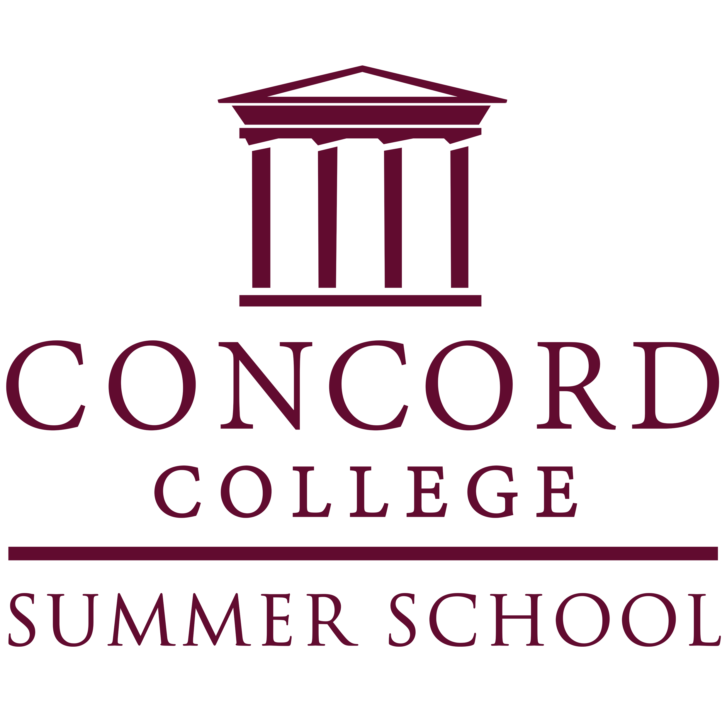 Burgundy SummerSchool Square